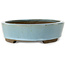 Oval light blue bonsai pot by Taizan - 325 x 250 x 72 mm