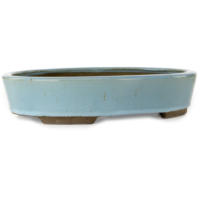 Oval light blue bonsai pot by Taizan - 325 x 250 x 72 mm