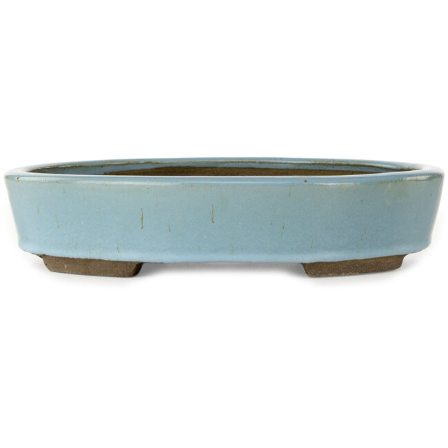 Vaso bonsai ovale azzurro chiaro di Taizan - 325 x 250 x 72 mm
