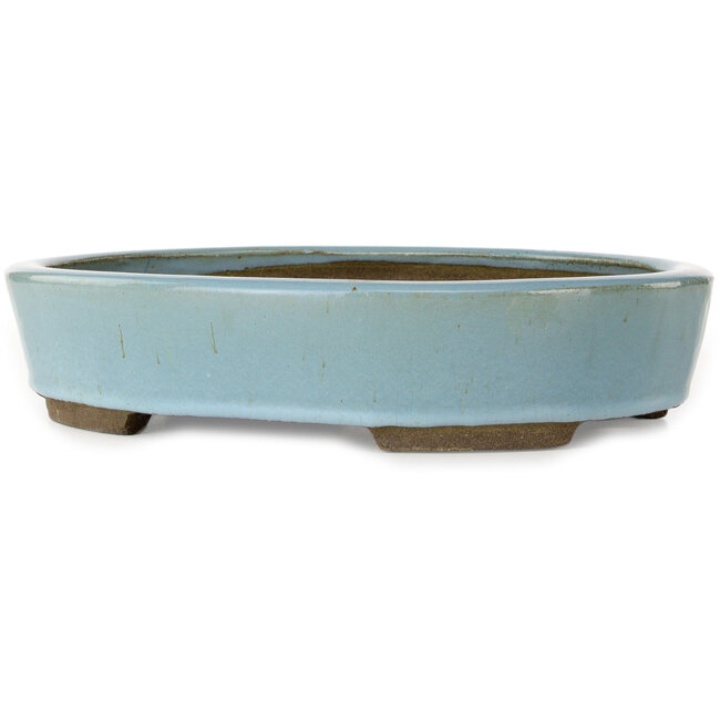 Ovale lichtblauwe bonsaipot van Taizan - 325 x 250 x 72 mm