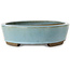 Oval light blue bonsai pot by Taizan - 325 x 250 x 72 mm
