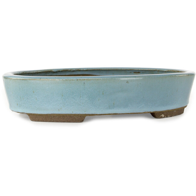 Pot à bonsaï ovale bleu clair de Taizan - 325 x 250 x 72 mm