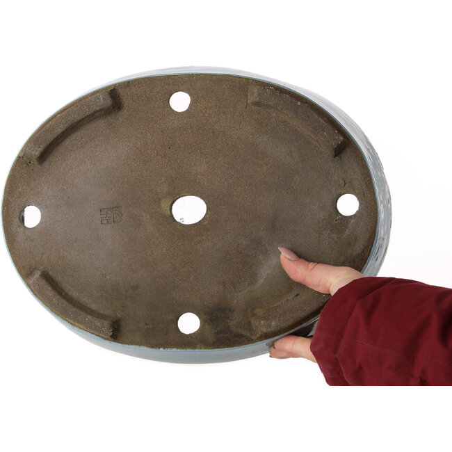 Ovale lichtblauwe bonsaipot van Taizan - 325 x 250 x 72 mm