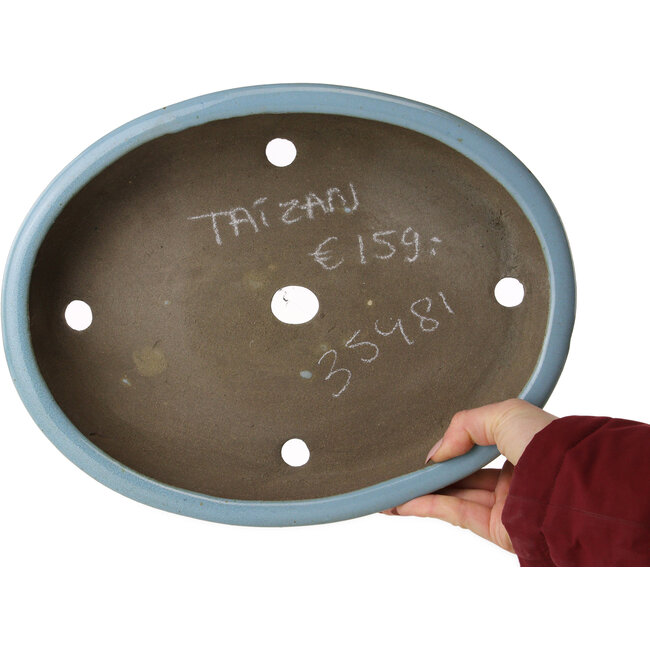Pot à bonsaï ovale bleu clair de Taizan - 325 x 250 x 72 mm