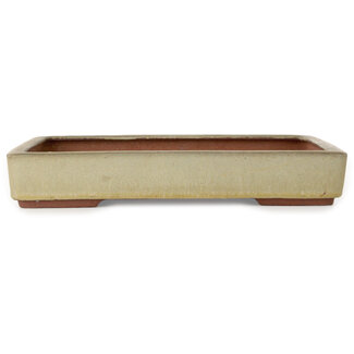 Eime Yozan Pot à bonsaï rectangulaire beige 315 mm par Eime Yozan, Tokoname, Japon