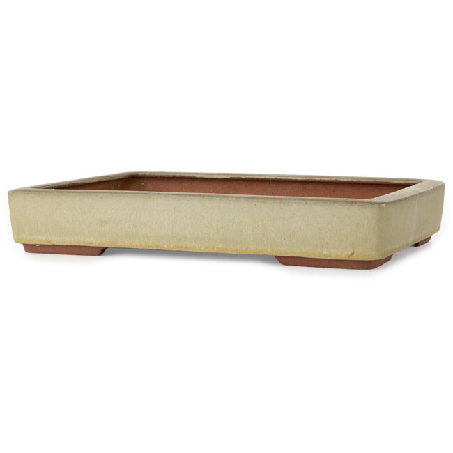 Pot à bonsaï rectangulaire beige par Eime Yozan - 315 x 215 x 52 mm