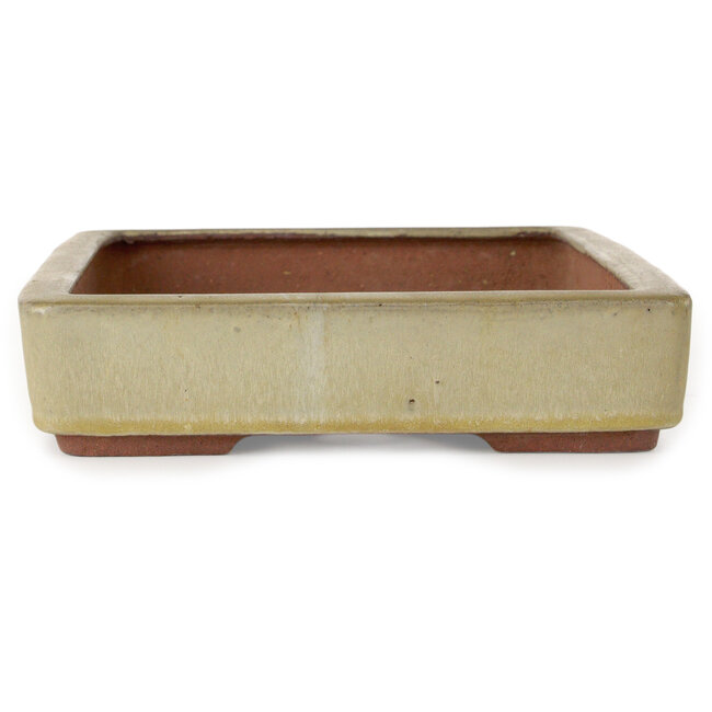Rechthoekige beige bonsaipot van Eime Yozan - 315 x 215 x 52 mm