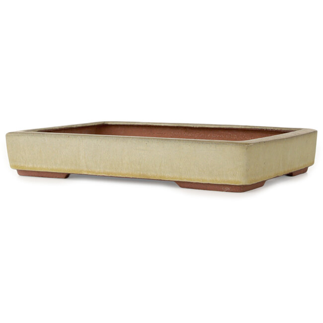 Rectangular beige bonsai pot by Eime Yozan - 315 x 215 x 52 mm