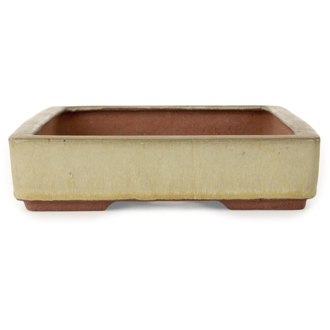 Rechthoekige beige bonsaipot van Eime Yozan - 315 x 215 x 52 mm