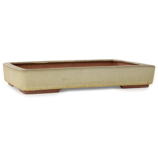 Vaso bonsai rettangolare beige di Eime Yozan - 315 x 215 x 52 mm