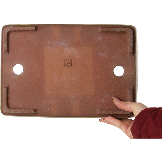 Pot à bonsaï rectangulaire beige par Eime Yozan - 315 x 215 x 52 mm