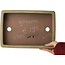 Pot à bonsaï rectangulaire beige par Eime Yozan - 315 x 215 x 52 mm