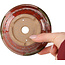 Maceta redonda roja para bonsái de Koishiwara - 122 x 122 x 55 mm