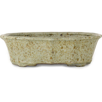  Tosui 250 mm lotus white with brown dots bonsai pot by Tosui, Japan
