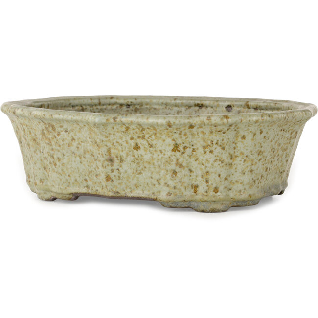 Lotus witte bonsai pot met bruine stippen van Tosui - 250 x 195 x 73 mm