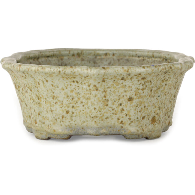 Lotusweißer Bonsaitopf mit braunen Punkten von Tosui – 250 x 195 x 73 mm