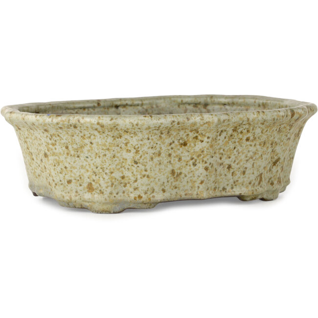 Vaso bonsai Lotus bianco con puntini marroni di Tosui - 250 x 195 x 73 mm