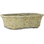 Pot à bonsaï Lotus blanc à pois bruns de Tosui - 250 x 195 x 73 mm
