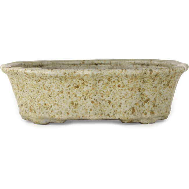 Vaso bonsai Lotus bianco con puntini marroni di Tosui - 250 x 195 x 73 mm