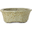 Pot à bonsaï Lotus blanc à pois bruns de Tosui - 250 x 195 x 73 mm