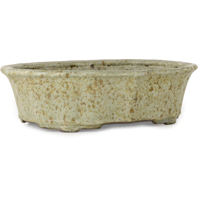 Lotus white with brown dots bonsai pot by Tosui - 250 x 195 x 73 mm