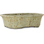 Lotus witte bonsai pot met bruine stippen van Tosui - 250 x 195 x 73 mm