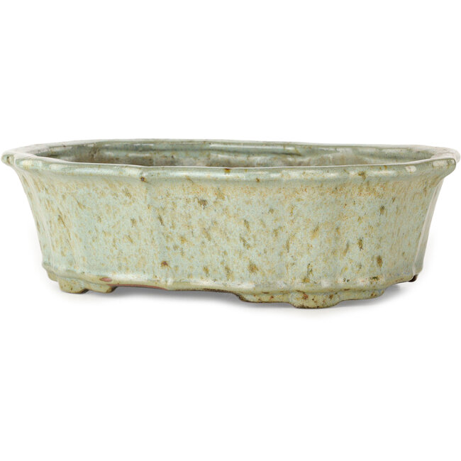 Lotus white with brown dots bonsai pot by Tosui - 250 x 195 x 73 mm