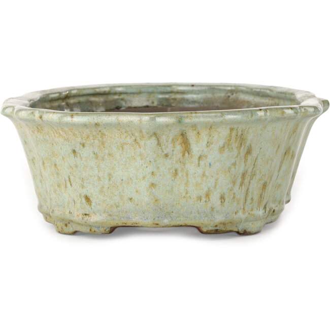 Pot à bonsaï Lotus blanc à pois bruns de Tosui - 250 x 195 x 73 mm