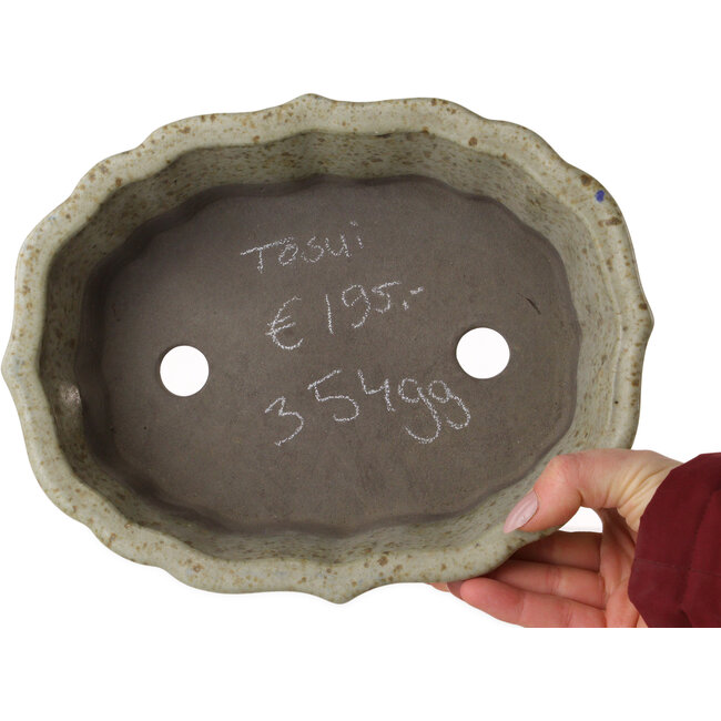 Pot à bonsaï Lotus blanc à pois bruns de Tosui - 250 x 195 x 73 mm