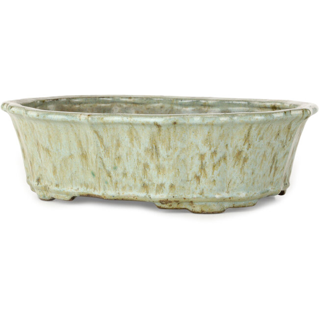 Lotusweißer Bonsaitopf mit braunen Punkten von Tosui – 250 x 195 x 73 mm