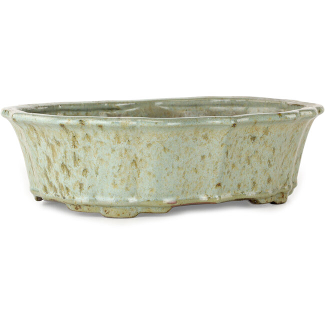 Maceta de bonsái Lotus blanco con puntos marrones de Tosui - 250 x 195 x 73 mm