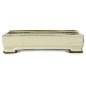  Tosui Maceta rectangular blanca para bonsái de 202 mm de Tosui, Japón