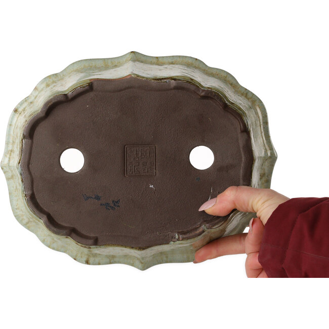 Lotusweißer Bonsaitopf mit braunen Punkten von Tosui – 250 x 195 x 73 mm