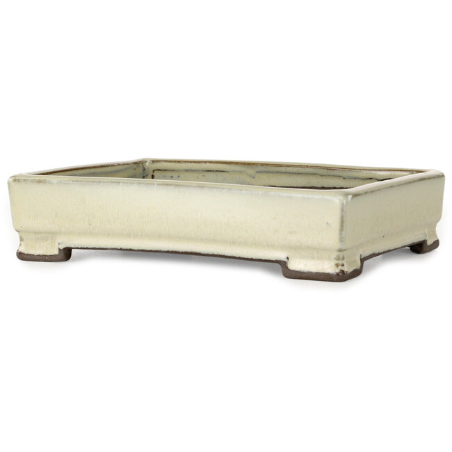 Rectangular white bonsai pot by Tosui - 202 x 147 x 45 mm