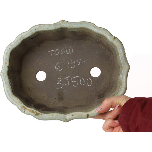 Maceta de bonsái Lotus blanco con puntos marrones de Tosui - 250 x 195 x 73 mm