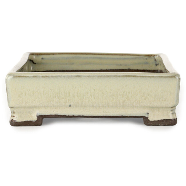 Vaso bonsai rettangolare bianco di Tosui - 202 x 147 x 45 mm