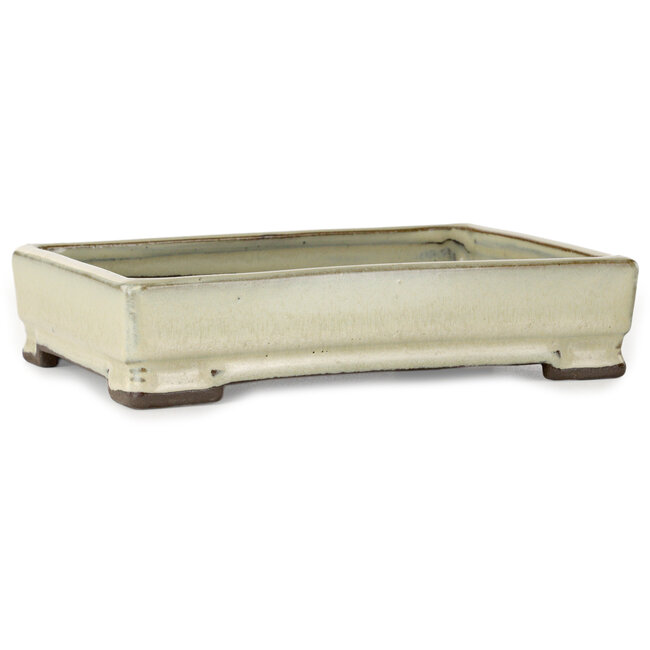 Rectangular white bonsai pot by Tosui - 202 x 147 x 45 mm