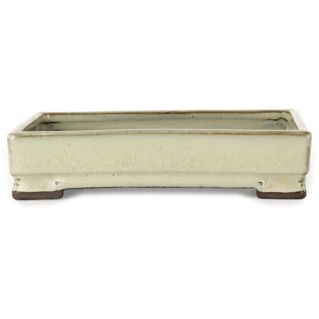 Maceta rectangular blanca para bonsái de Tosui - 202 x 147 x 45 mm