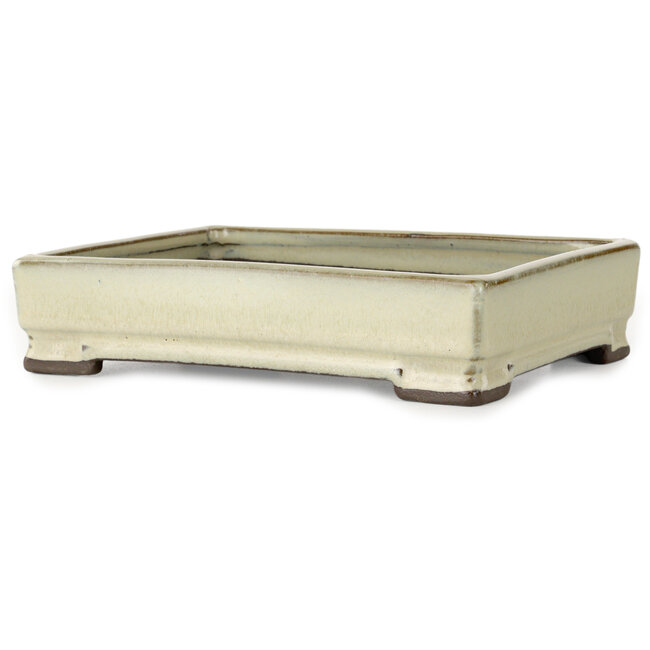 Pot à bonsaï rectangulaire blanc de Tosui - 202 x 147 x 45 mm