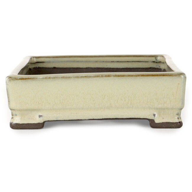 Rectangular white bonsai pot by Tosui - 202 x 147 x 45 mm