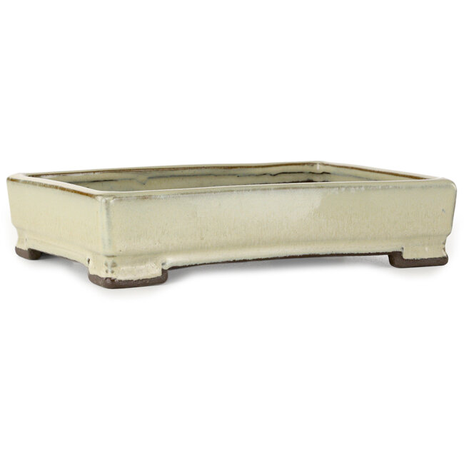 Pot à bonsaï rectangulaire blanc de Tosui - 202 x 147 x 45 mm