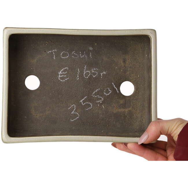 Maceta rectangular blanca para bonsái de Tosui - 202 x 147 x 45 mm