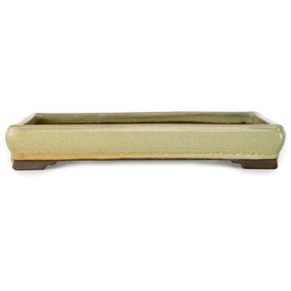  Tosui Vaso bonsai rettangolare arancione da 267 mm di Tosui, Giappone