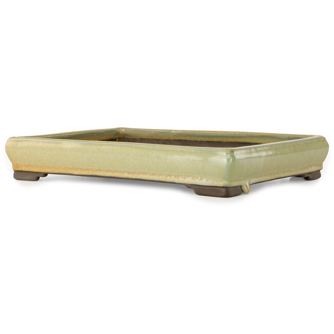 Maceta rectangular naranja para bonsái de Tosui - 267 x 192 x 42 mm