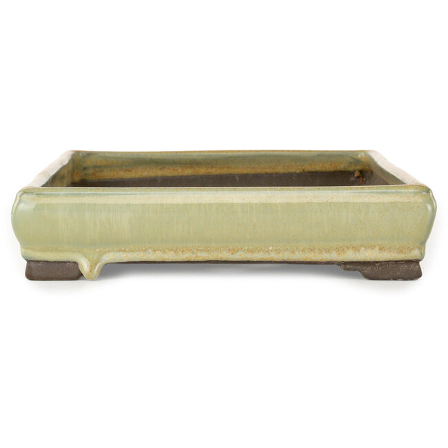 Pot à bonsaï rectangulaire orange de Tosui - 267 x 192 x 42 mm