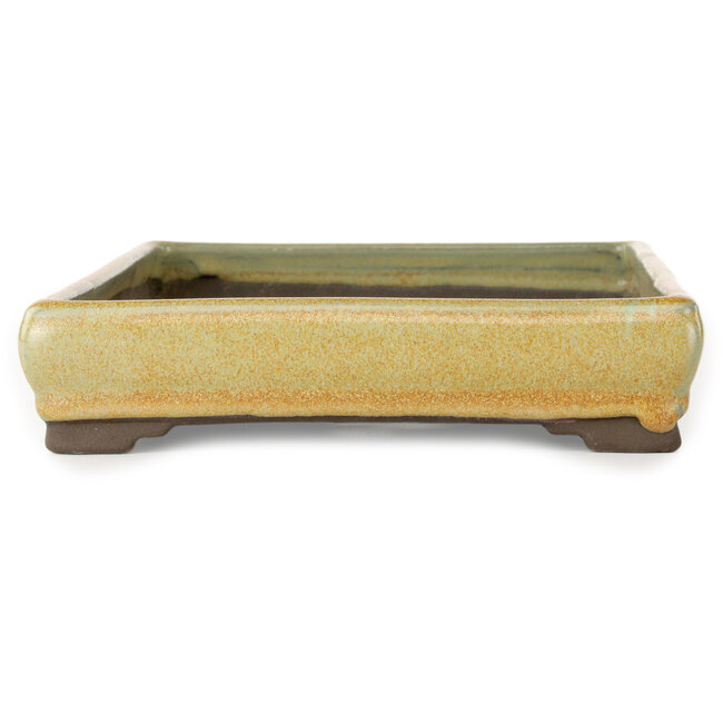 Pot à bonsaï rectangulaire orange de Tosui - 267 x 192 x 42 mm