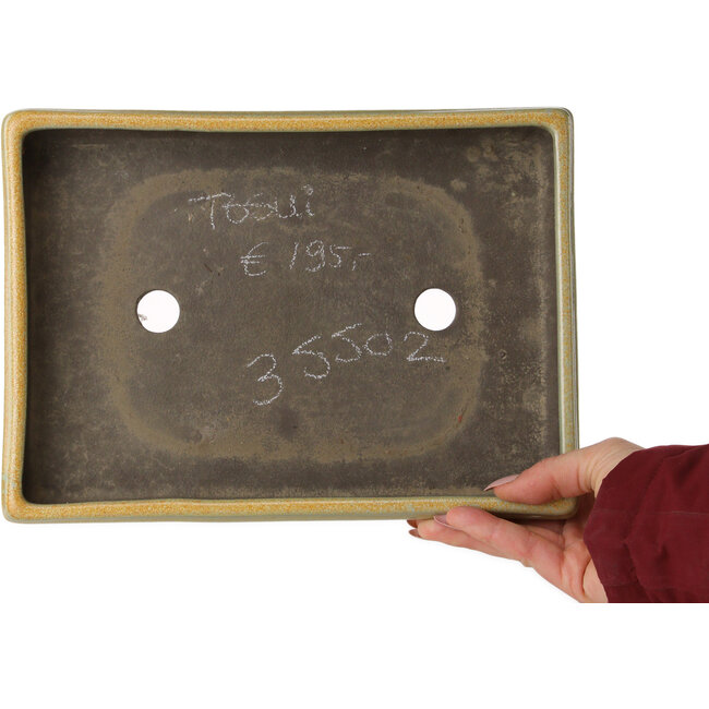 Rechteckiger orangefarbener Bonsai-Topf von Tosui – 267 x 192 x 42 mm