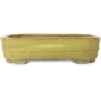  Hattori Tomoyuki Pot à bonsaï mokko jaune 310 mm par Hattori, Tokoname, Japon