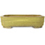 Maceta para bonsái amarilla Mokko de Hattori - 310 x 235 x 75 mm