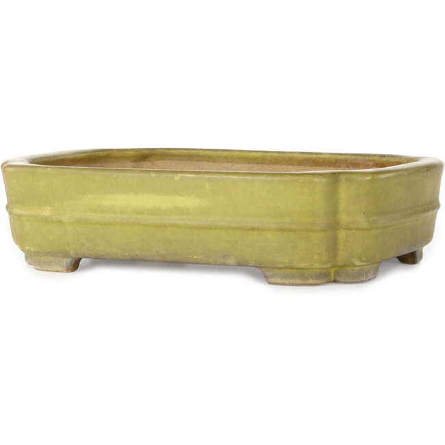 Mokko gelber Bonsaitopf von Hattori – 310 x 235 x 75 mm